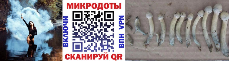 Псилоцибиновые грибы ЛСД где купить наркоту Ряжск